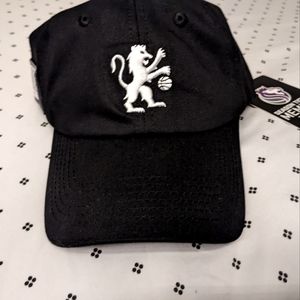 Sacramento kings season ticket holder hat 10 years